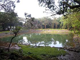 wagh zara