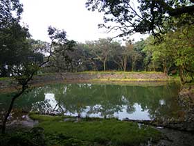 wagh zara