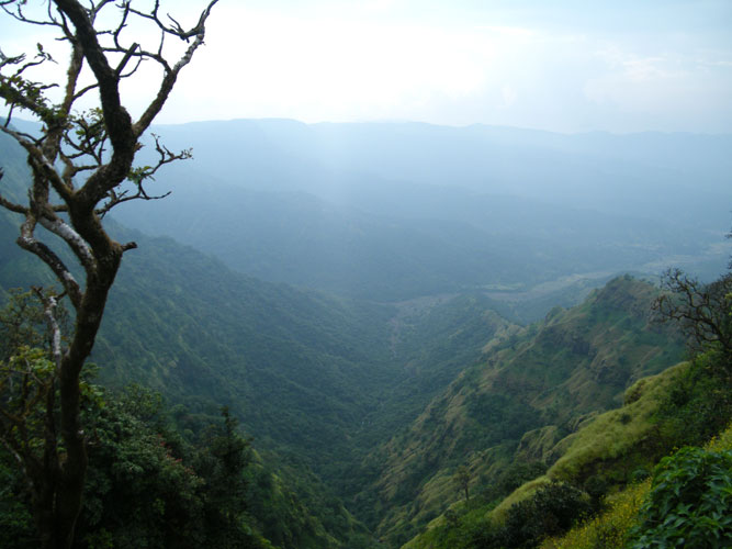 Places to Visit Near Vanashree Resort