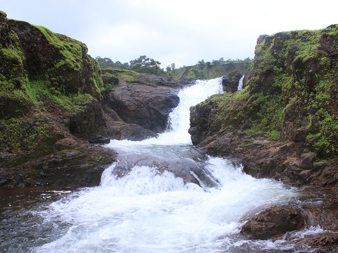 Places to Visit Near Vanashree Resort