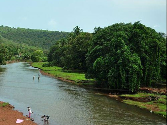 Places to Visit Near Vanashree Resort